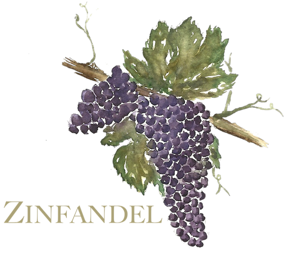 Zinfandel